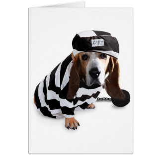 私はそれを…意味しませんでした