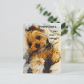 私はただヨークシャーテリアを寄り添いたい ポストカード (スタンド正面)