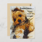 私はただヨークシャーテリアを寄り添いたい ポストカード (正面/裏面)