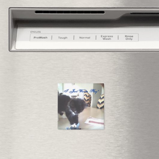 私はただ遊! マグネット (インサイチュ (食洗機))