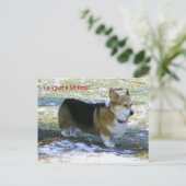 私はちょうど疲れています! 、 シーズンポストカード (スタンド正面)