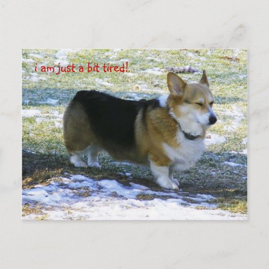 私はちょうど疲れています! 、 シーズンポストカード (正面)