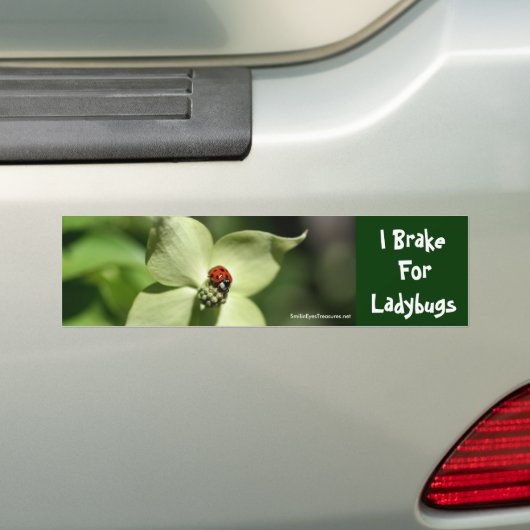 私はてんとう虫の花の写真のバンパーステッカーのためにブレーキがかかります バンパーステッカー (車上)
