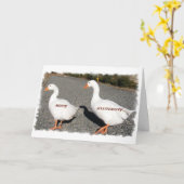 私はどこでも後を追います カード (黄色い花)