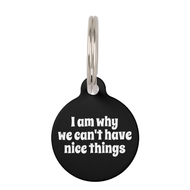 私はなぜ私たちは良いものを持つことができないパーソナライズされたか ペット　ネームタグ (正面)