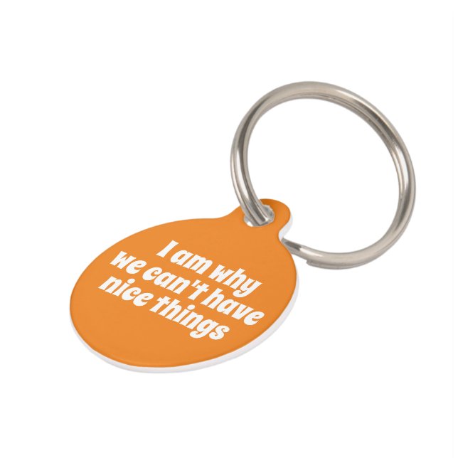 私はなぜ私たちは良いものを持つことができないパーソナライズされたか ペット　ネームタグ (側面)