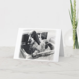 私はなりますか。 カード