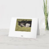 私はの内気なタキシードの子ネコ恋しく思います カード (裏面)