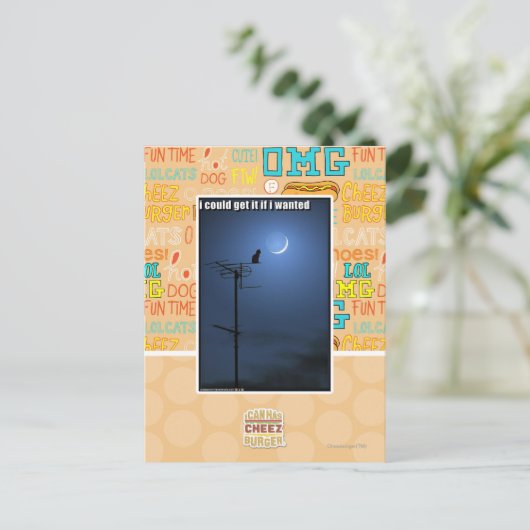 私はほしかったらそれを得てもよい ポストカード (スタンド正面)