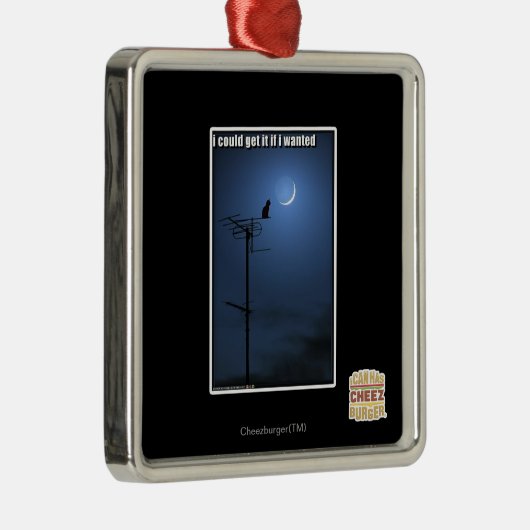 私はほしかったらそれを得てもよい メタルオーナメント (右)