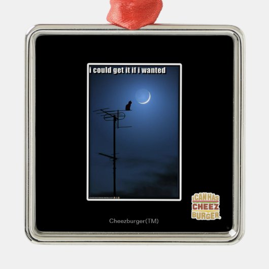 私はほしかったらそれを得てもよい メタルオーナメント (正面)