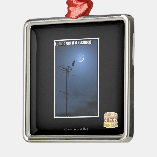 私はほしかったらそれを得てもよい メタルオーナメント (左)