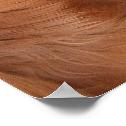 私はまだもっと… ポスター (角)