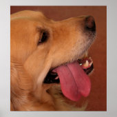 私はまだもっと… ポスター (正面)