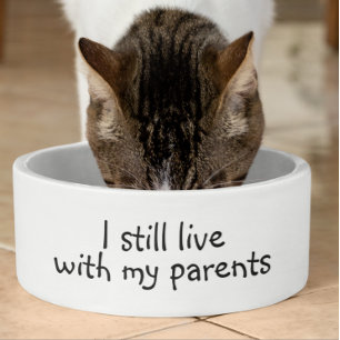 私はまだ両親の犬と一緒に住んでいおもしろいる ボウル