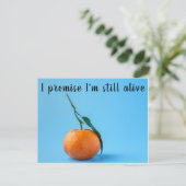 私はまだ生きていると約束する ポストカード (スタンド正面)