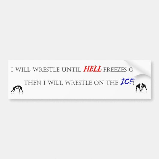 私はまで…苦闘します バンパーステッカー (正面)