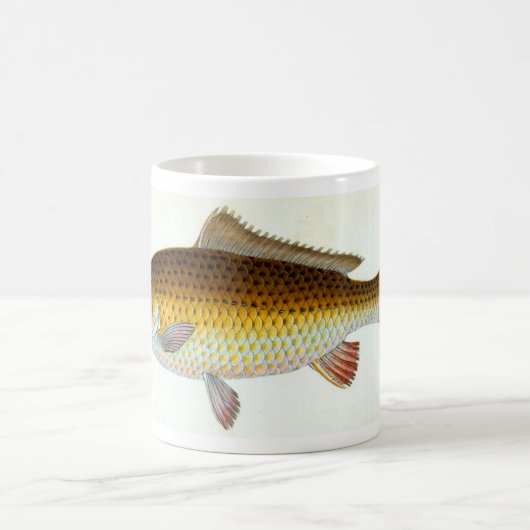 私はむしろコイの魚釣りのマグです コーヒーマグカップ (中央)