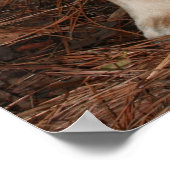 私はむしろ狩り ポスター (角)