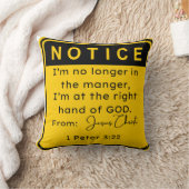 私はもう金に困っている クッション (ブランケット)