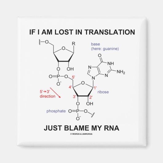 私はもし翻訳失った中で私のRNAを責めている マグネット (正面)