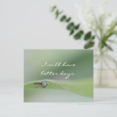 私はもっといい日葉書 ポストカード (スタンド正面)