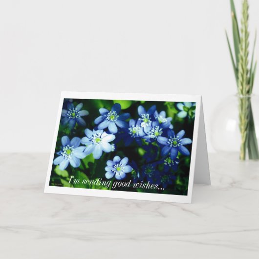 私はよい願いを送っています カード (正面)