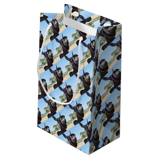 私はろばを愛します! スモールペーパーバッグ (裏面アングル)