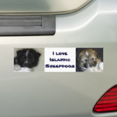 私はアイスランドのシェプドッグが大好き バンパーステッカー (車上)