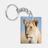 私はアフリカのポートレートの雌ライオンの写真が大好き キーホルダー (正面左)