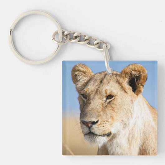 私はアフリカのポートレートの雌ライオンの写真が大好き キーホルダー (正面)
