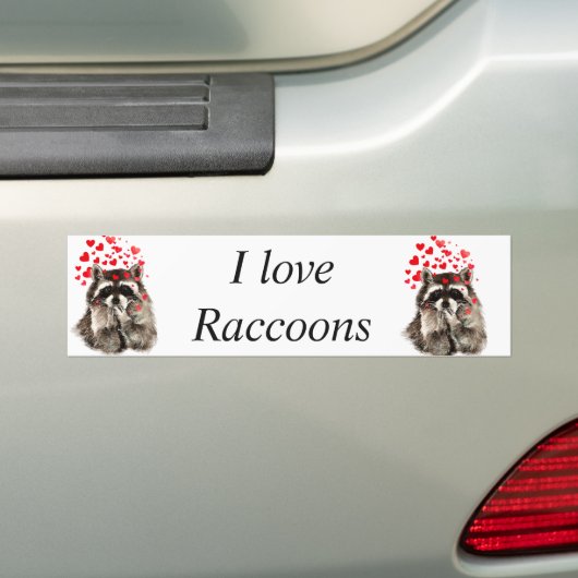 私はアライグマのおもしろいキスの愛吹 バンパーステッカー (車上)