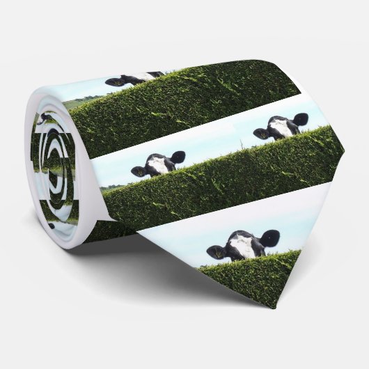 私はインターネット-牛タイの全体を見ました ネクタイ (ロール)