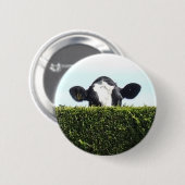 私はインターネット-牛ボタンの全体を見ました 缶バッジ (正面&裏面)