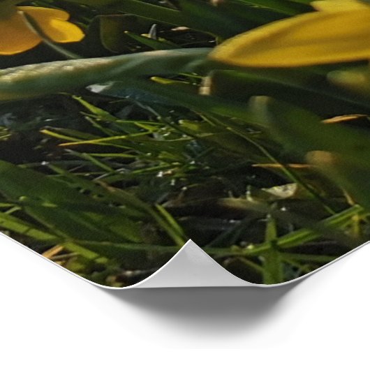 私はウィリアム・ワーズワースの雲のように寂しくさまよった ポスター (角)