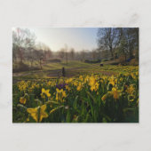 私はウィリアム・ワーズワースの雲のように寂しくさまよった ポストカード (正面)