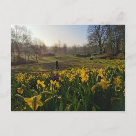 私はウィリアム・ワーズワースの雲のように寂しくさまよった ポストカード