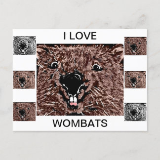 私はウォンバットが大好き ポストカード