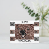 私はウォンバットが大好き ポストカード (スタンド正面)