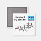 私はエストラジオール磁石ボールとスティックを刻印した マグネット (正面/裏面)