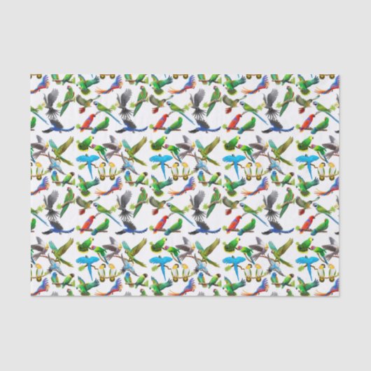 私はオウムのティッシュペーパーを愛します 薄葉紙 (正面)