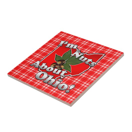 私はオハイオ州のおもしろいな赤いバックアイズのナットについてくだらないです タイル (側面)