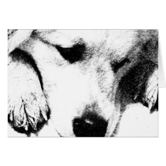 私はカードを持考えっていない