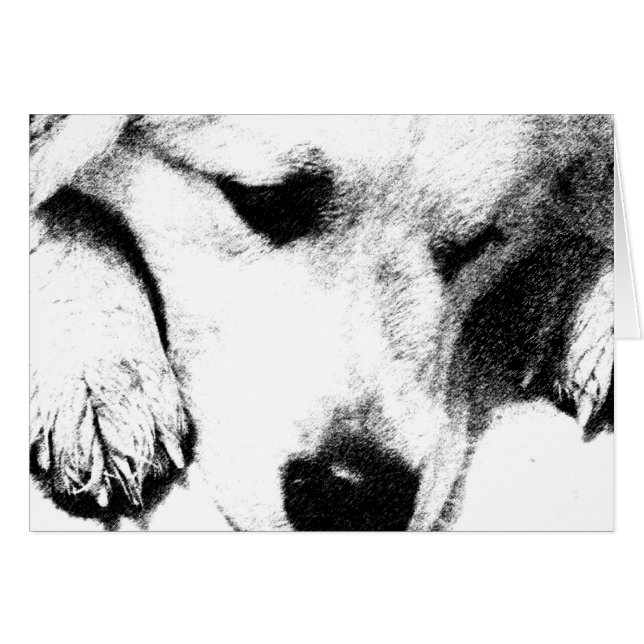 私はカードを持考えっていない (正面横)