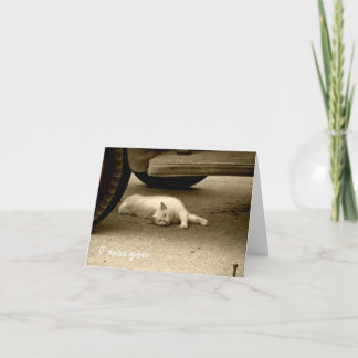 私はカード-孤独な猫--を恋しく思います カード