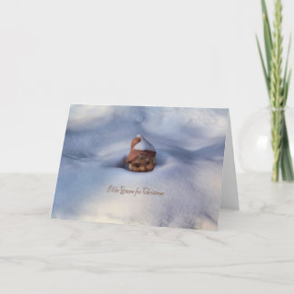 私はクリスマスのための格言です シーズンカード