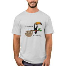 私はコスタリカ、toucanおよび怠惰にむしろあります