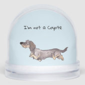 私はコヨーテのダシュントではない (正面)