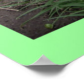 私はコリーズポスターが大好き ポスター (角)