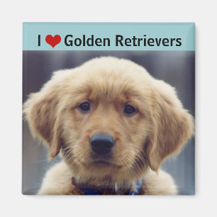 私はゴールデン・リトリーバーのかわいい子犬を愛します マグネット